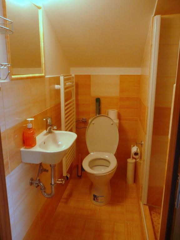 Ami Penzion Brno Rum bild